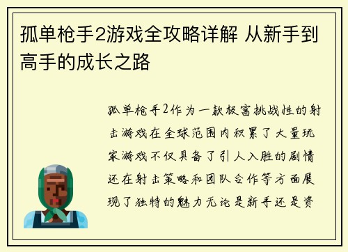 孤单枪手2游戏全攻略详解 从新手到高手的成长之路