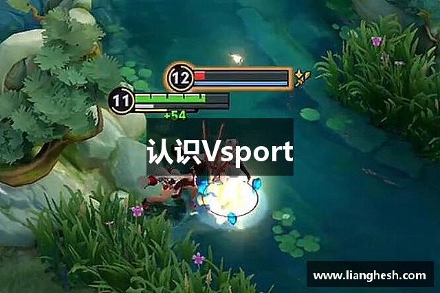 认识Vsport